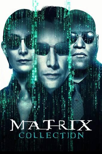 Matrix Koleksiyonu