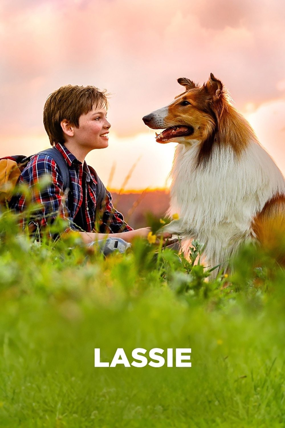 Lassie (German) Collection