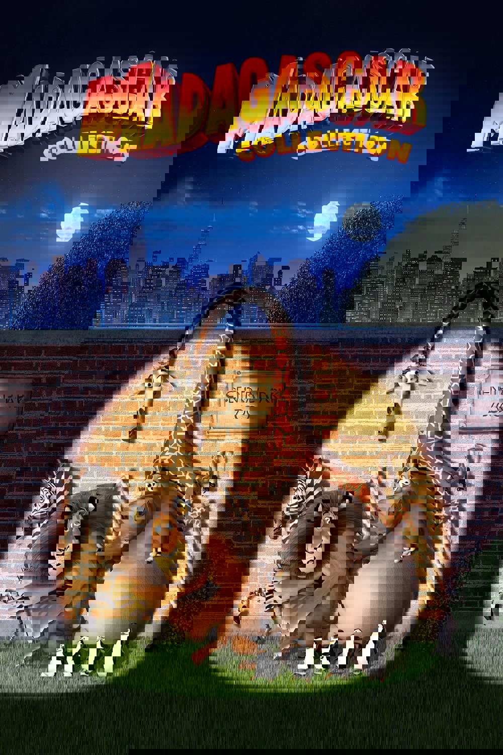 Madagaskar Koleksiyonu