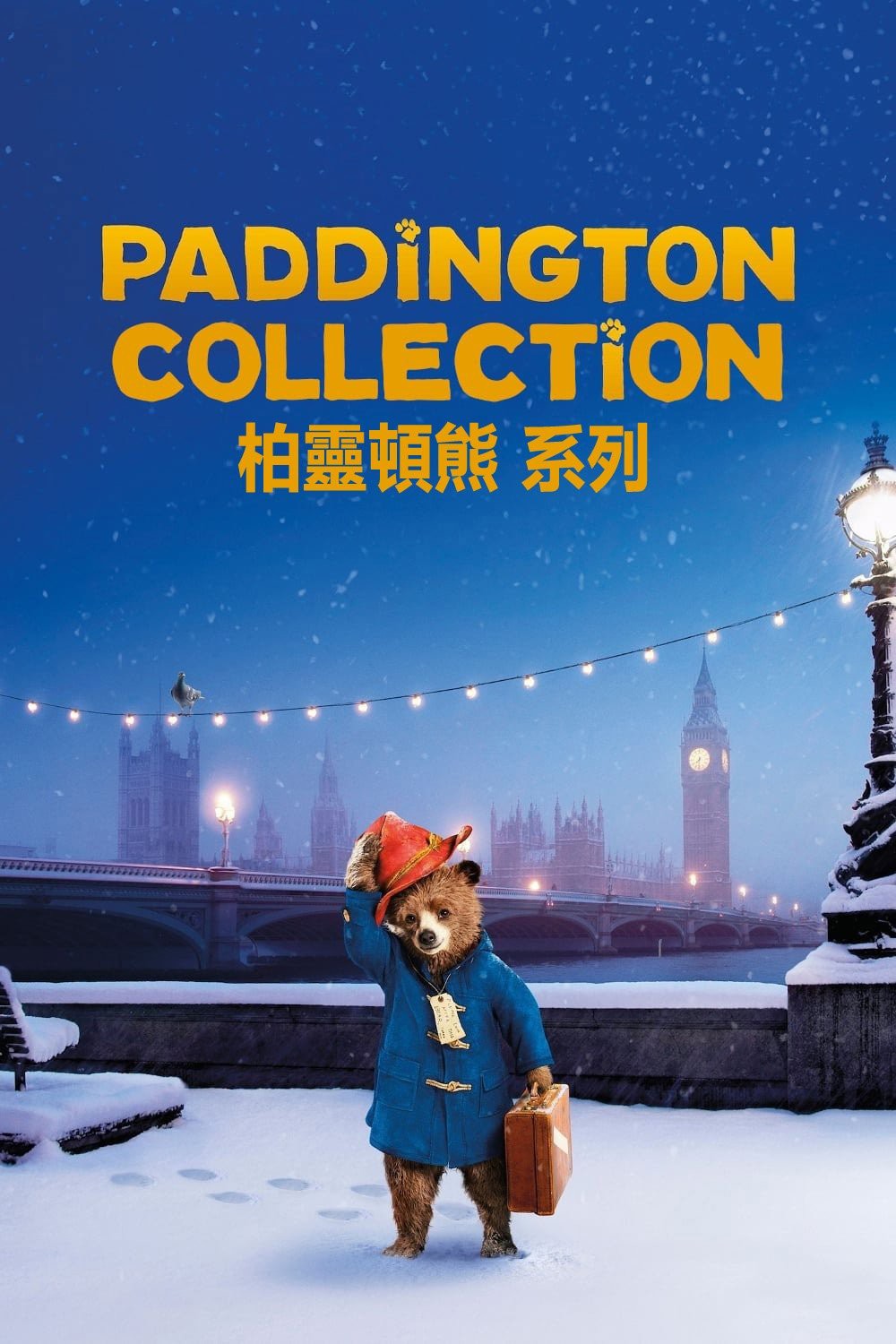 Ayı Paddington Koleksiyonu