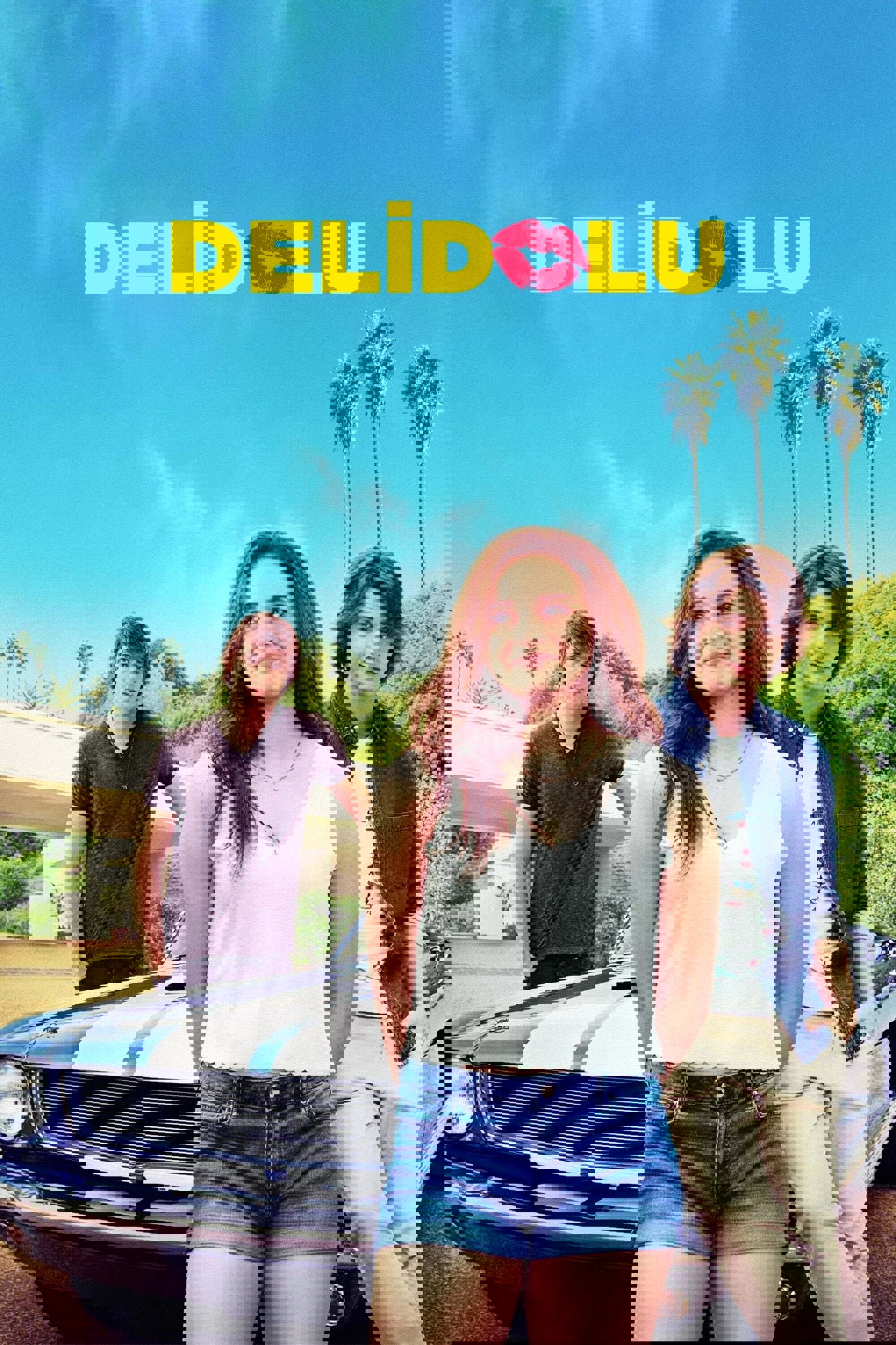 Delidolu Koleksiyonu