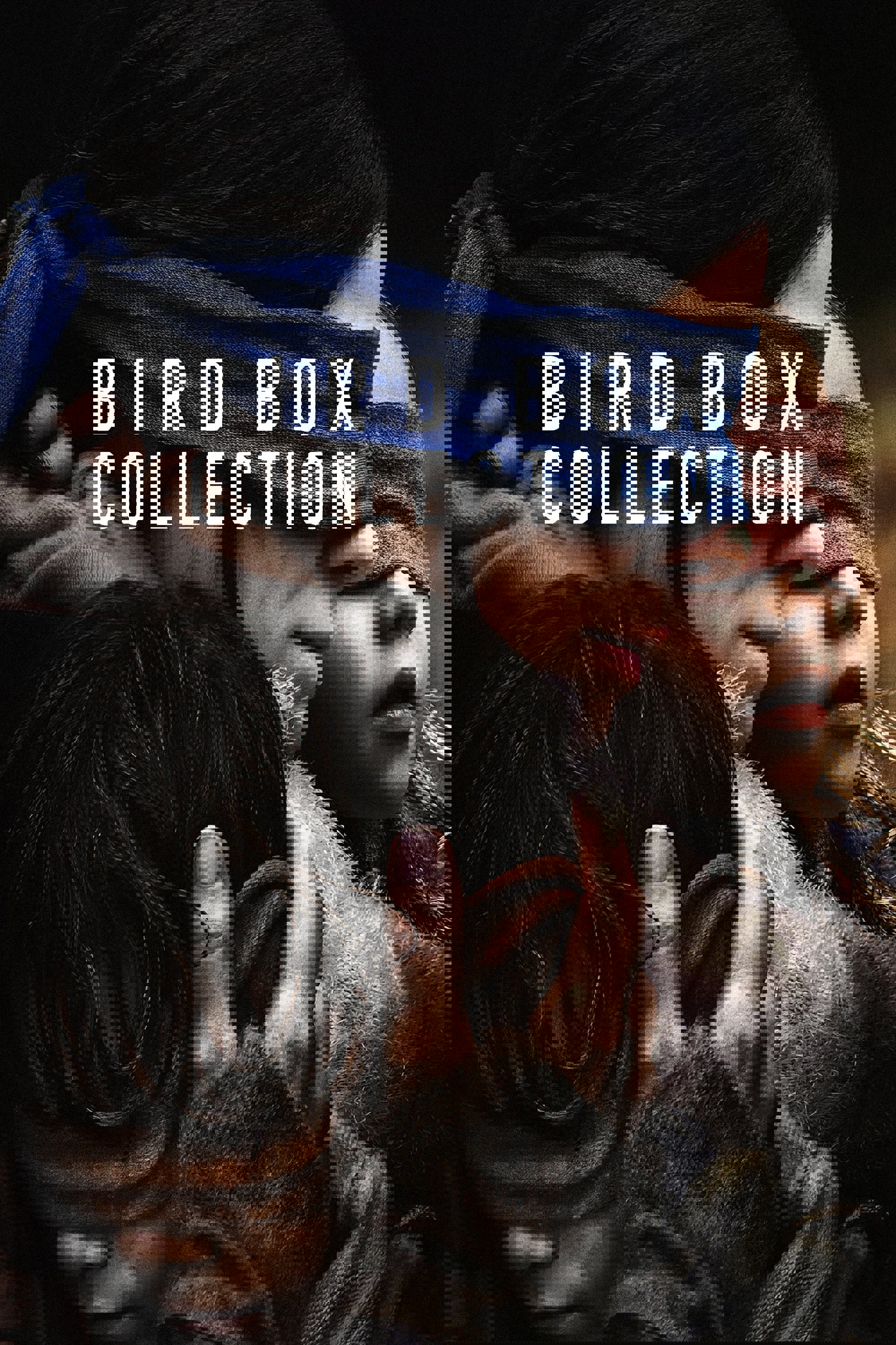 Bird Box Koleksiyonu