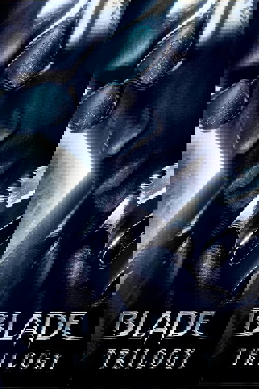 Bıçağın İki Yüzü Koleksiyonu