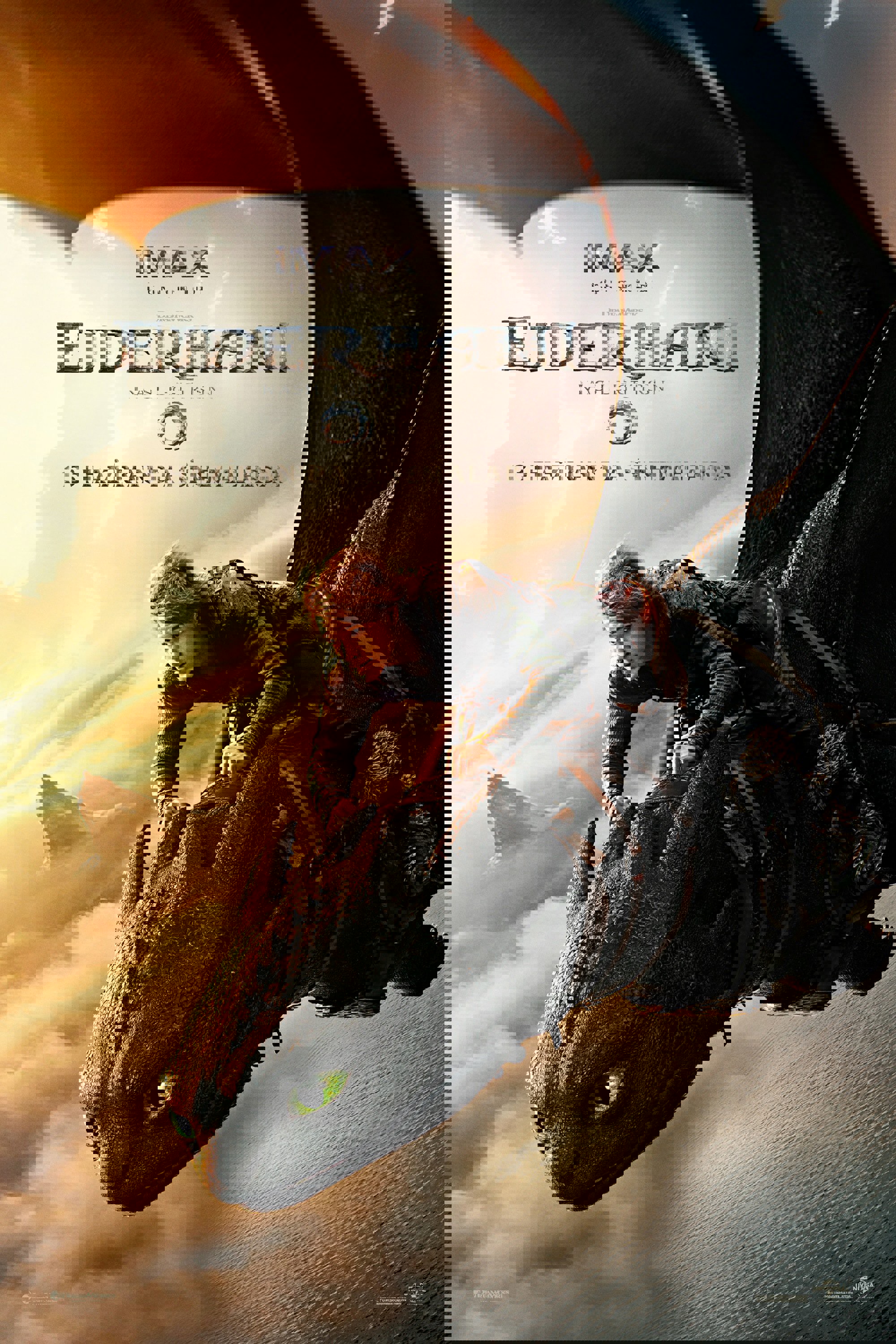 Ejderhanı Nasıl Eğitirsin