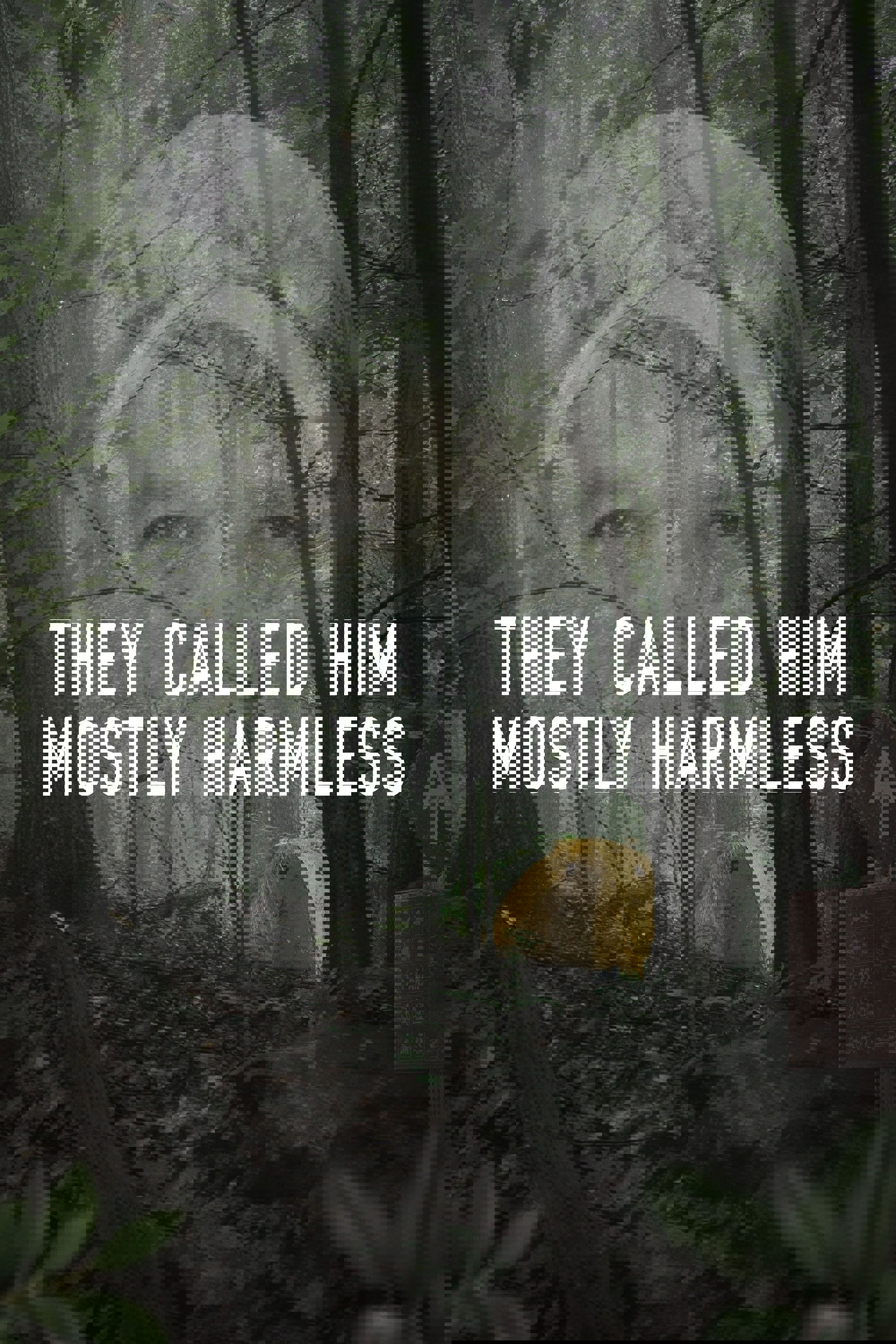 They Called Him Mostly Harmless