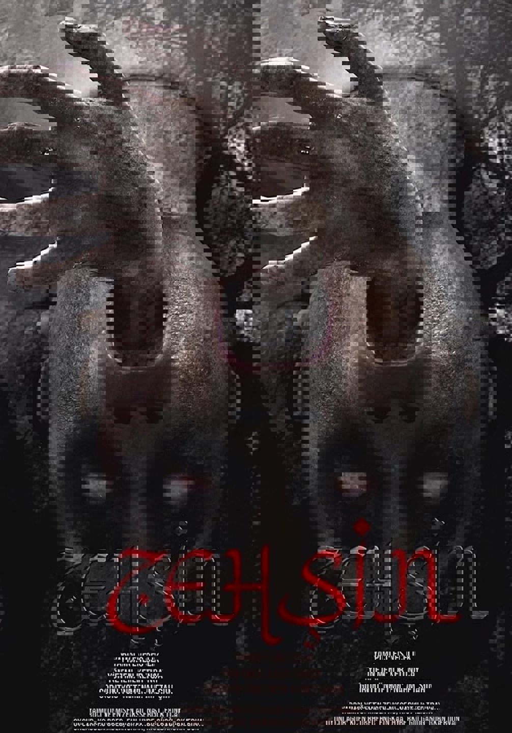 Zehşin Cin-i Musallat