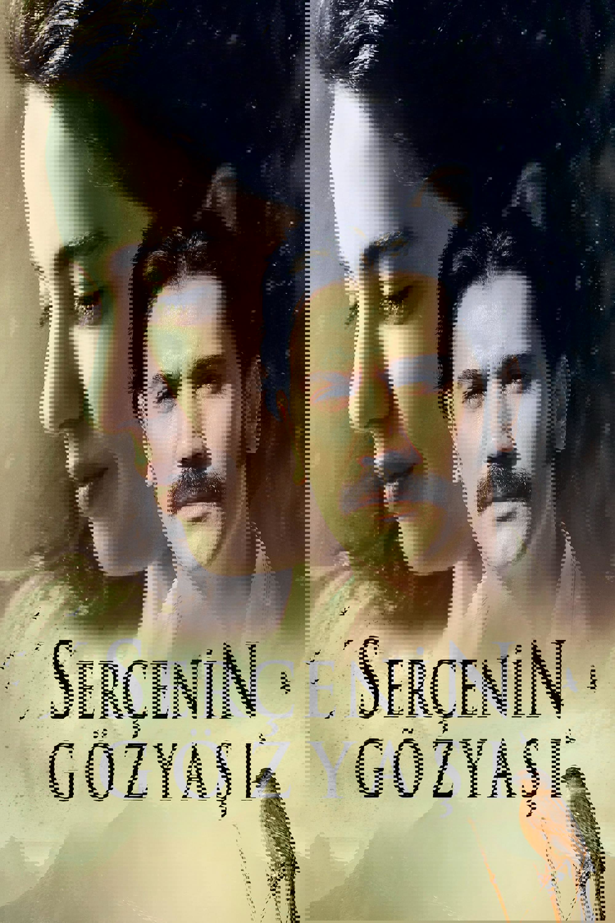 Serçenin Gözyaşı