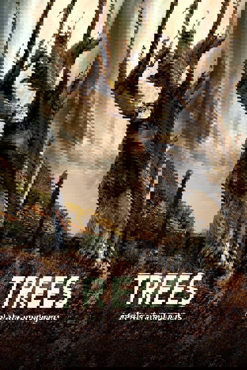 Trees and Other Entanglements