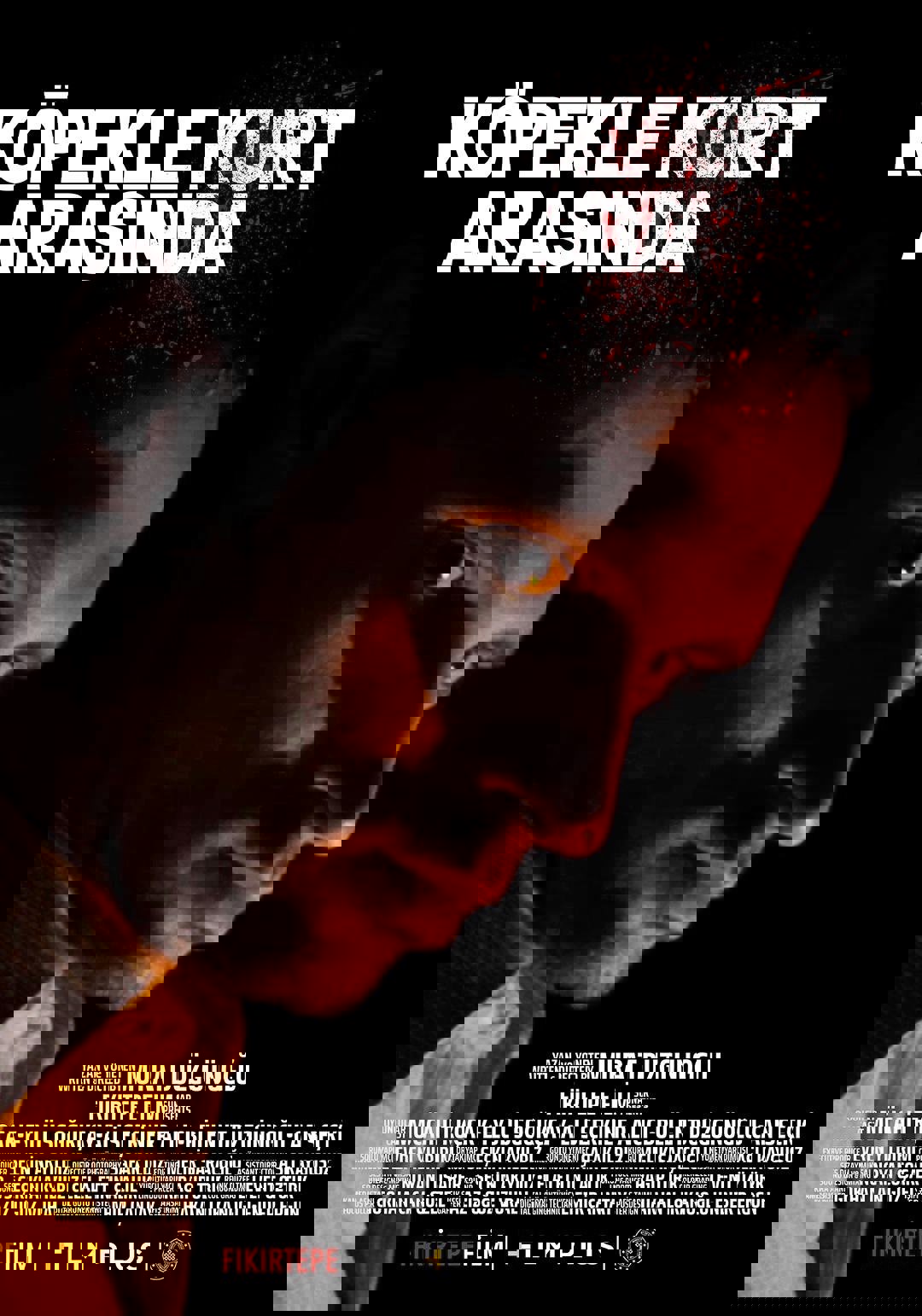 Köpekle Kurt Arasında