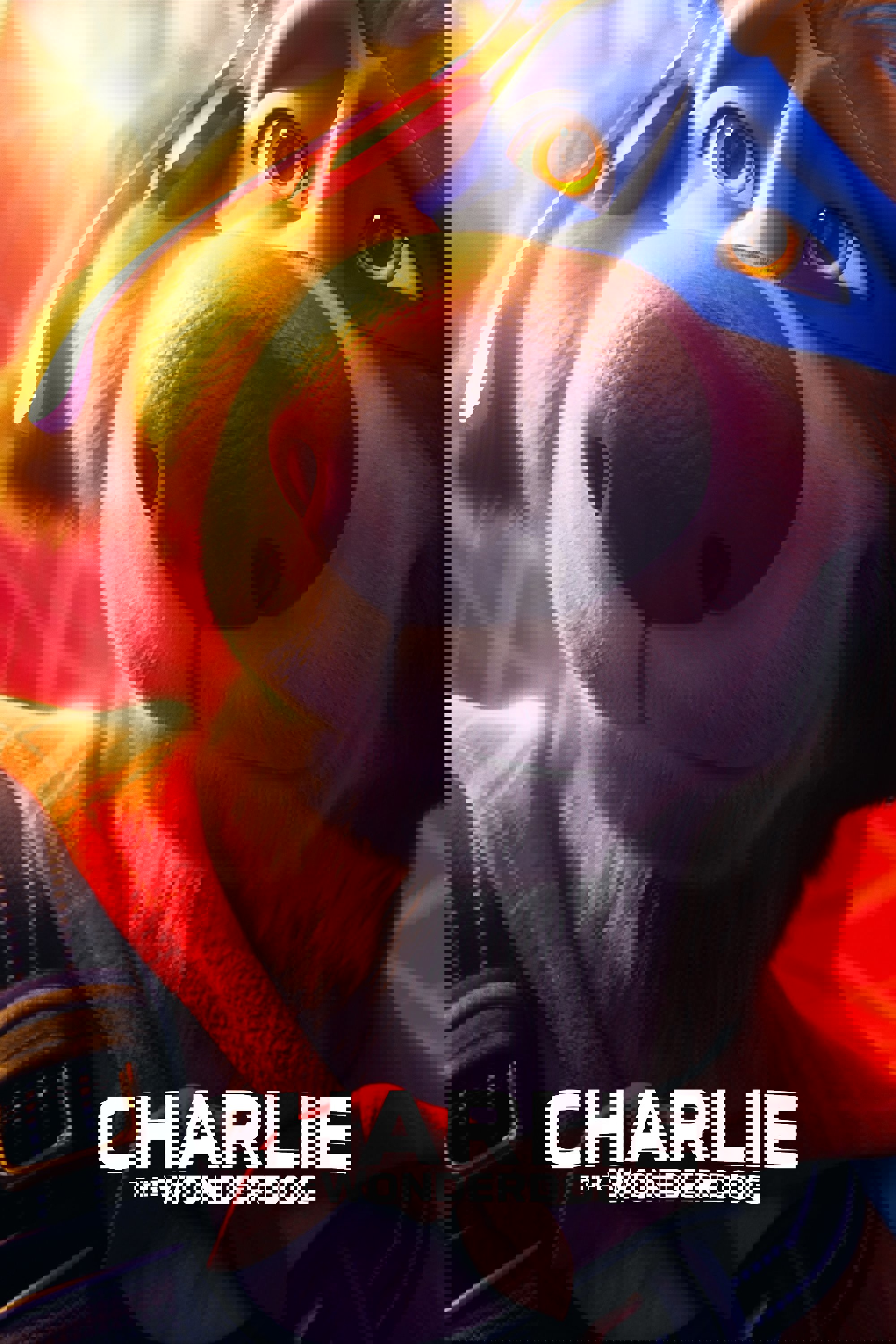 Charlie the Wonderdog