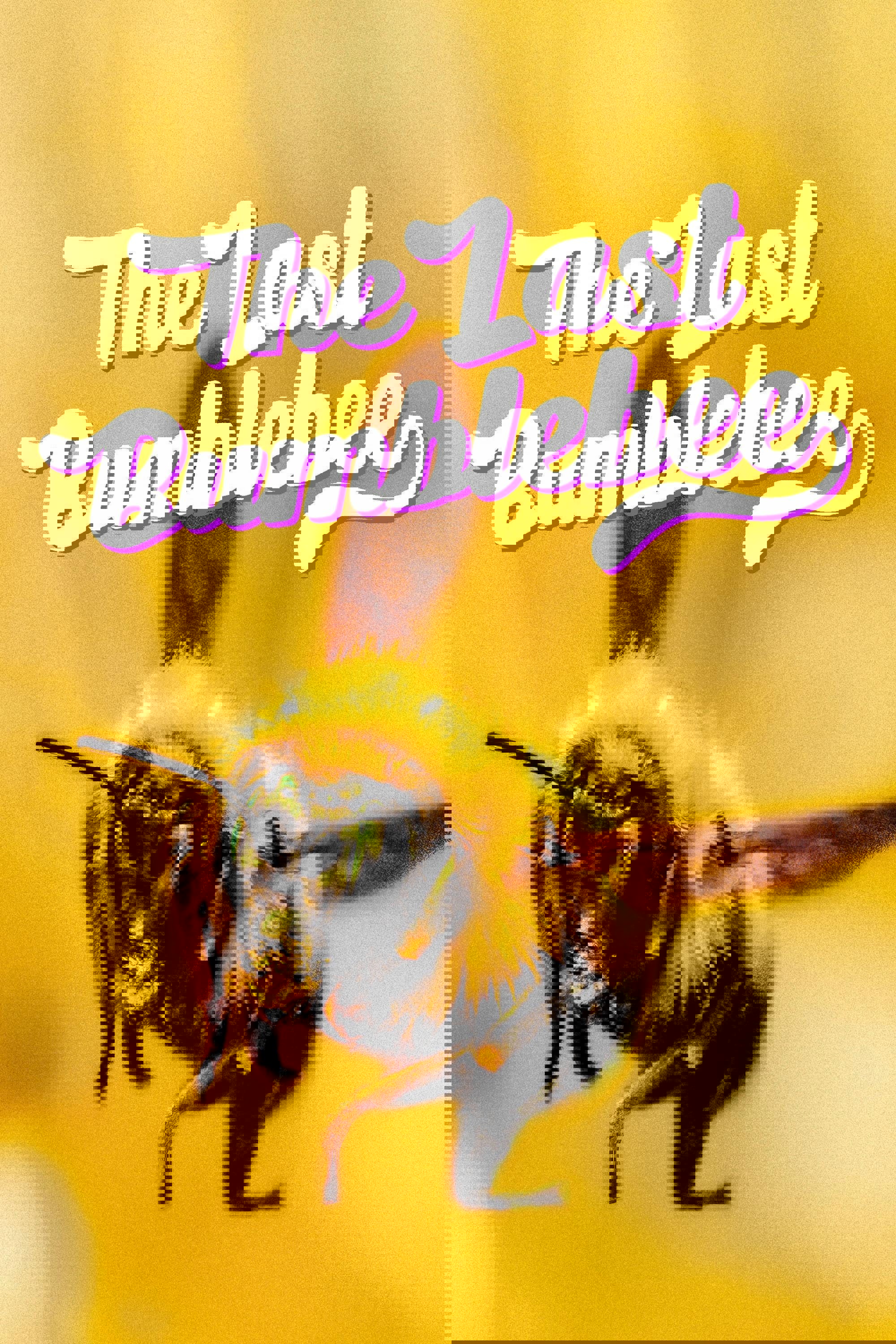 The Last Bumblebee