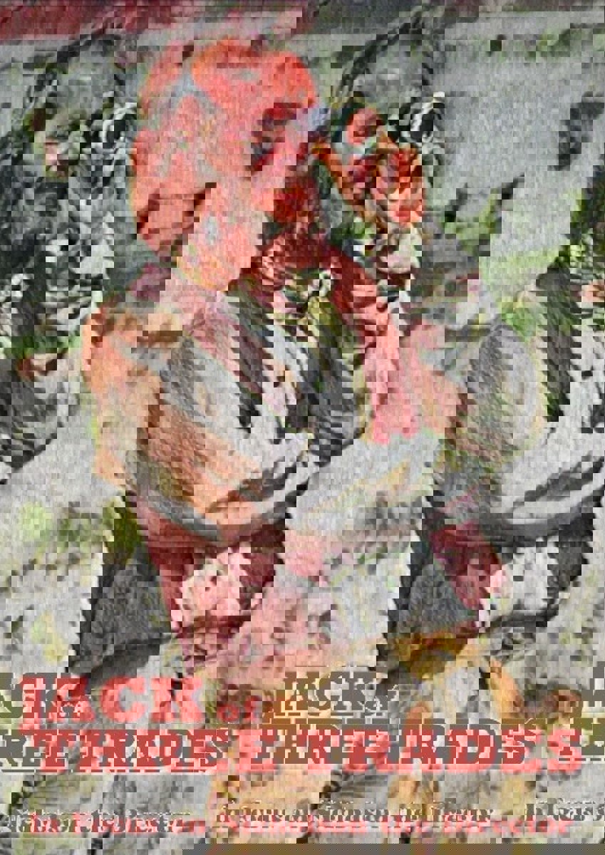 Jack of Three Trades: In Focus on Nicholson the Director