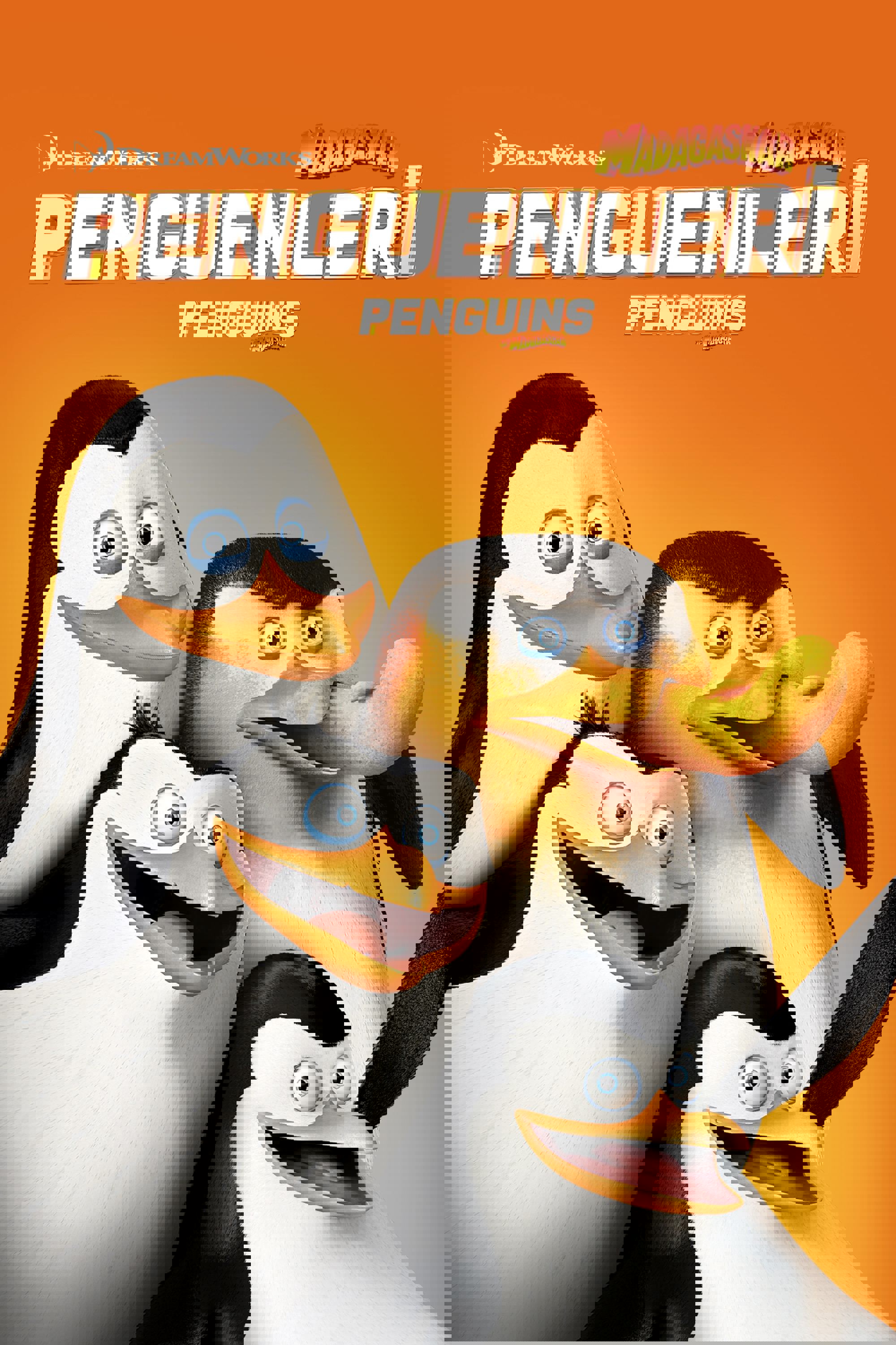Madagaskar Penguenleri