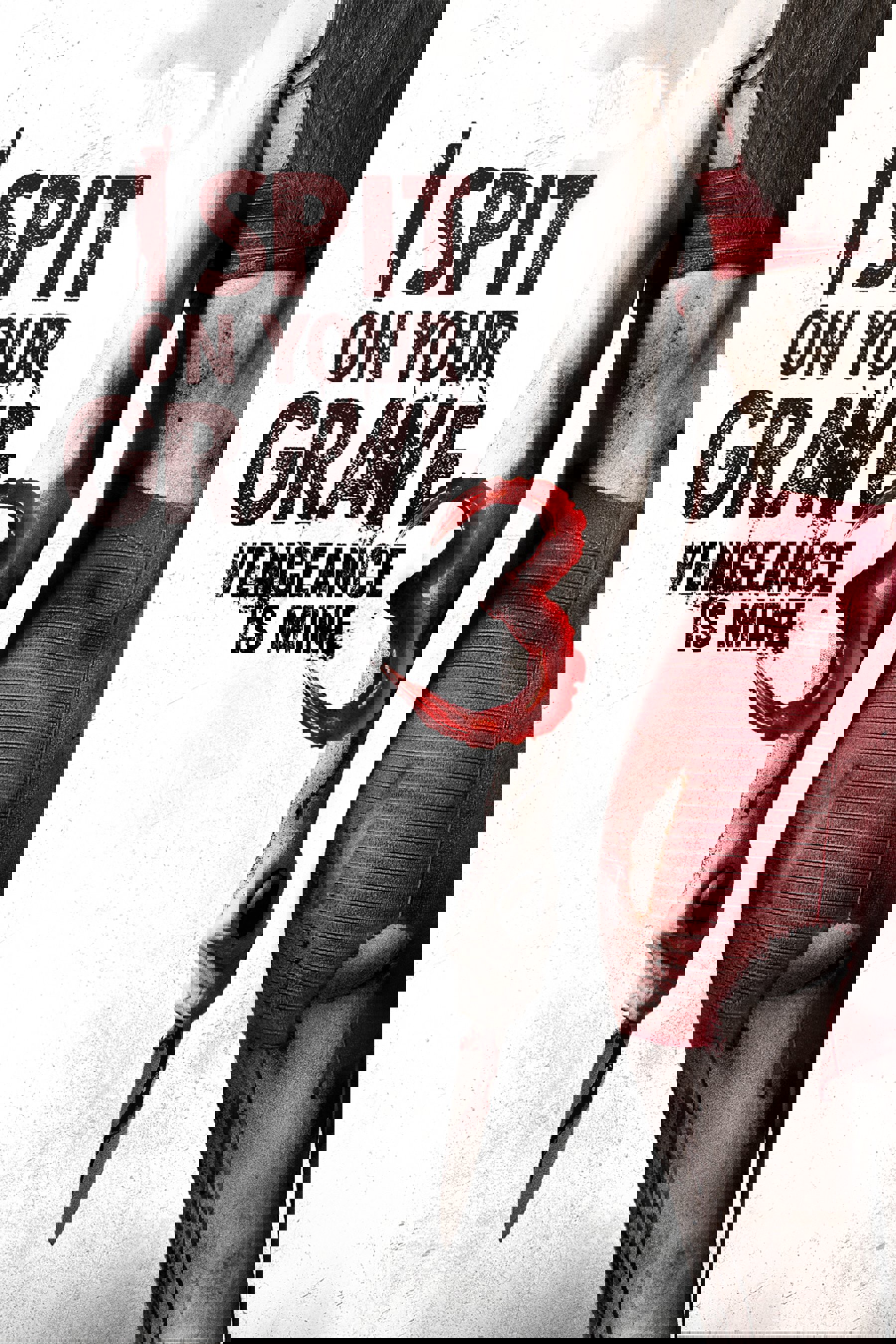 Mezarına Tüküreceğim 3