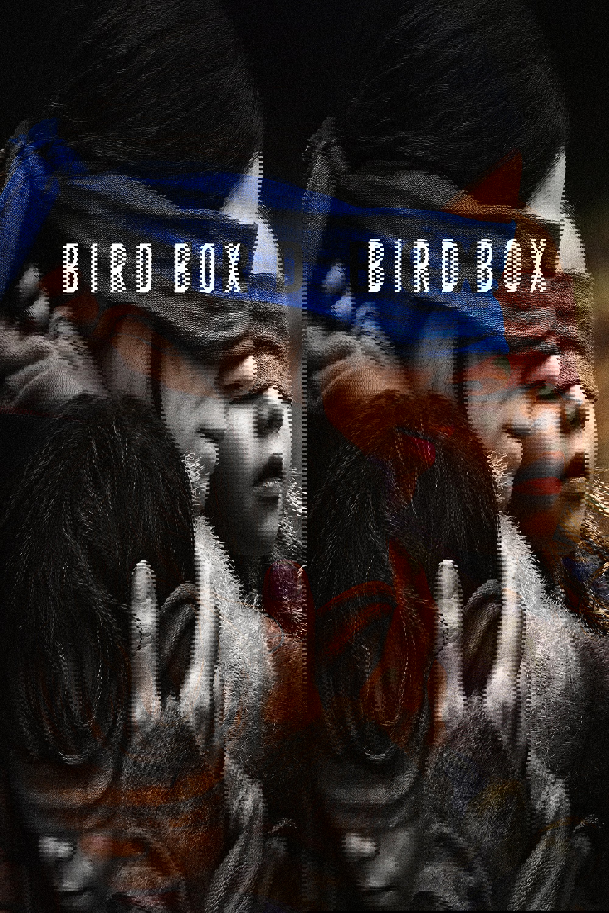 Bird Box