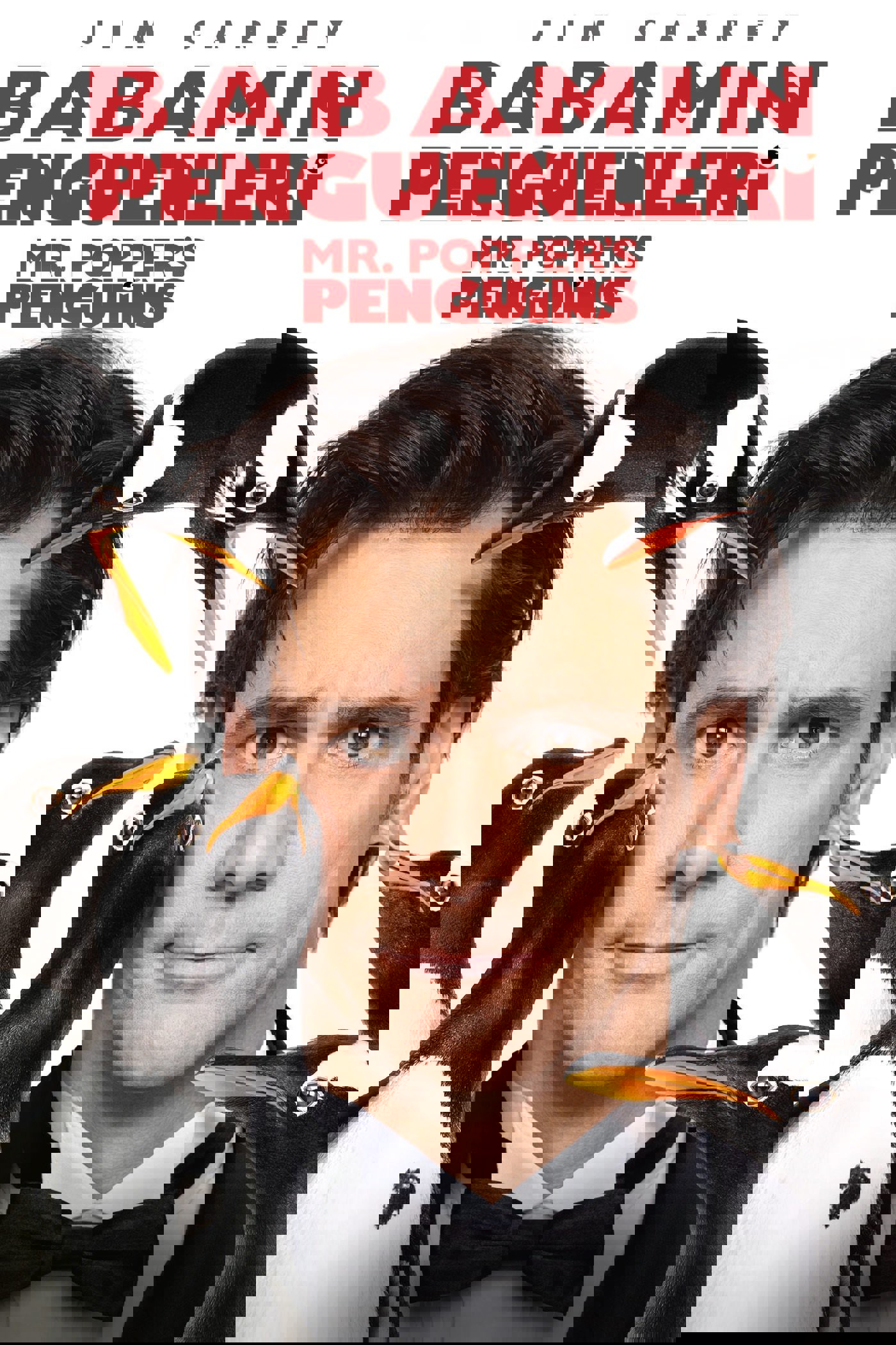 Babamın Penguenleri