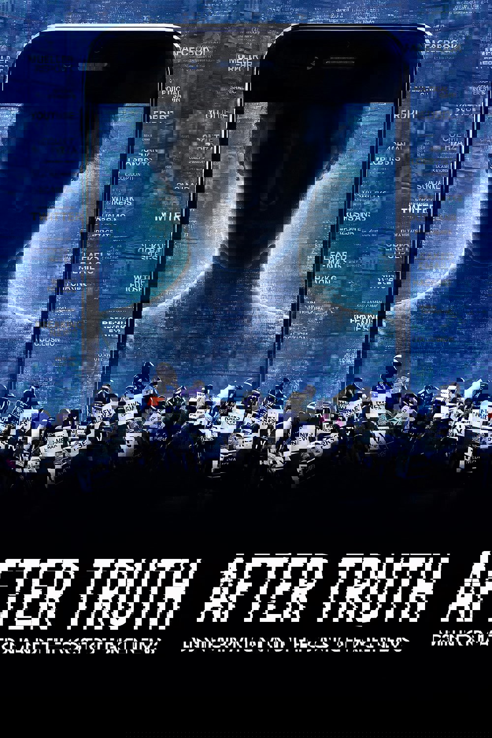 After Truth: Disinformation and the Cost of Fake News