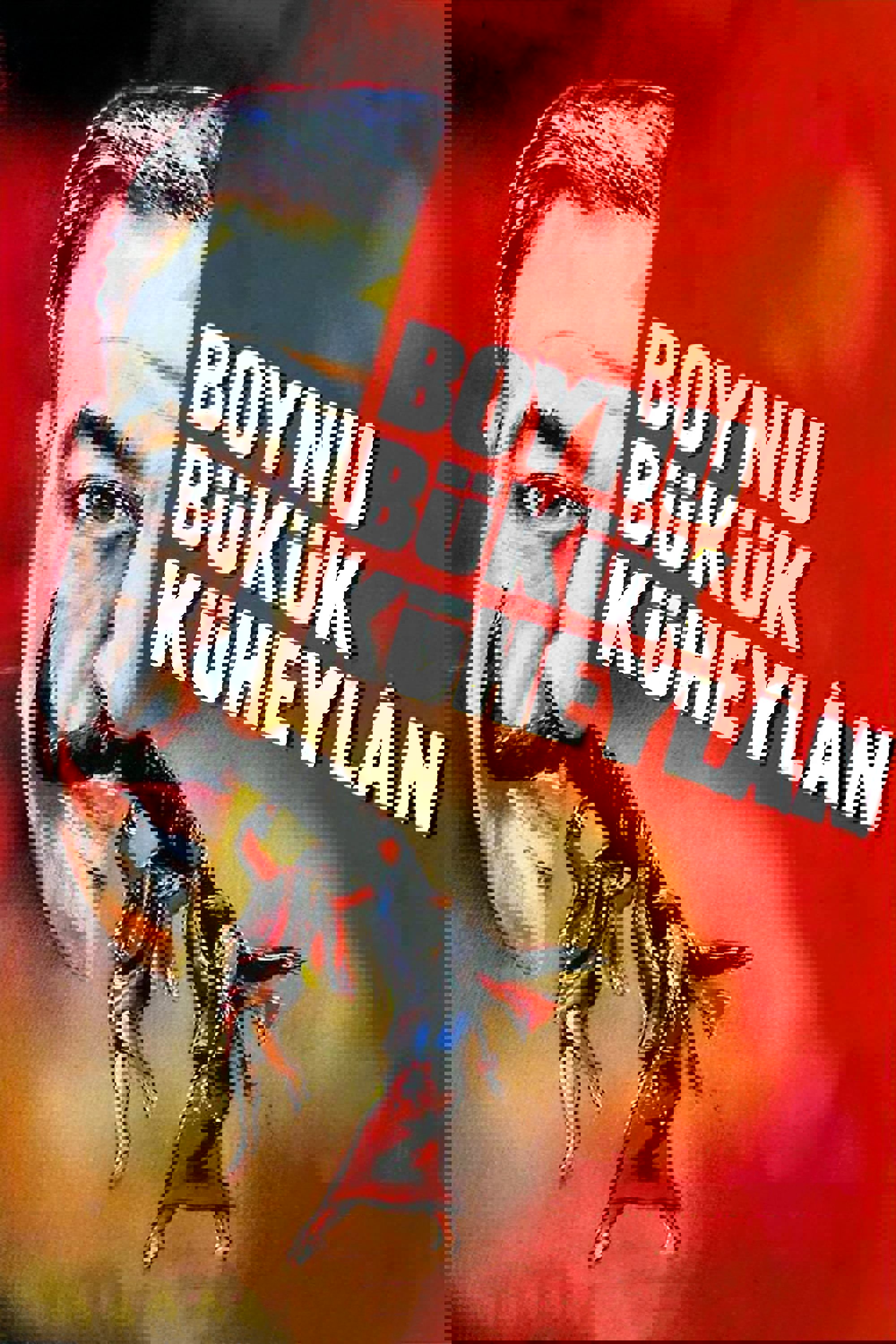 Boynu Bükük Küheylan