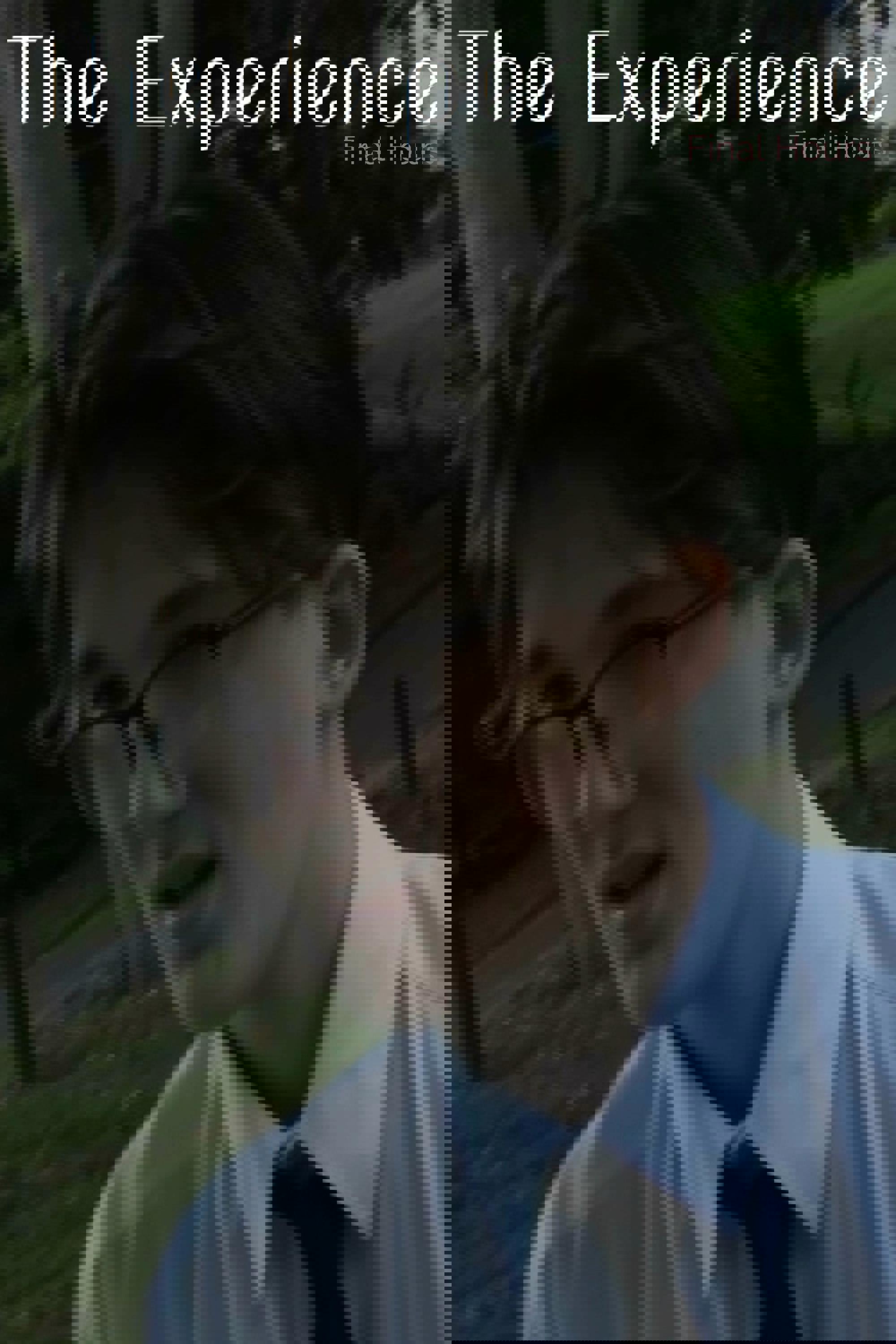 The Experience: Final Hours