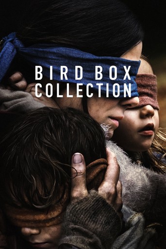 Bird Box Koleksiyonu