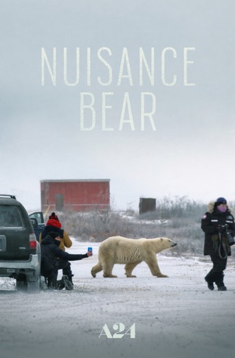 Nuisance Bear