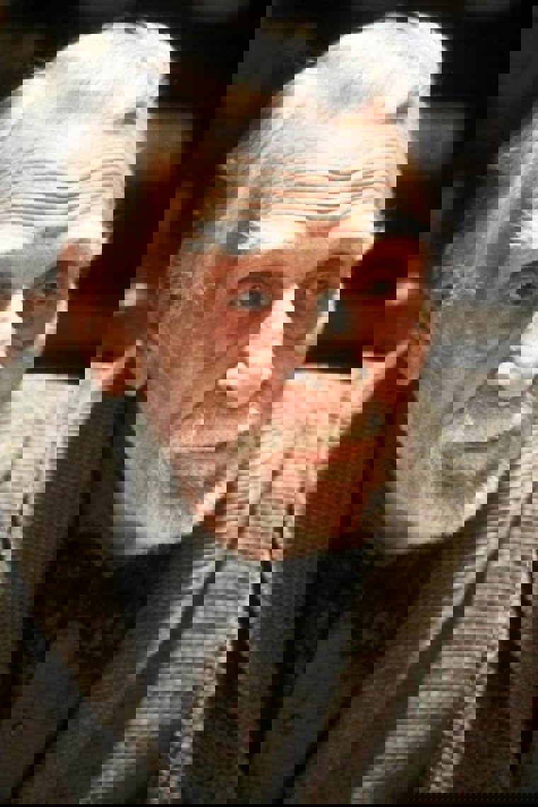 Feodor Chaliapin Jr.