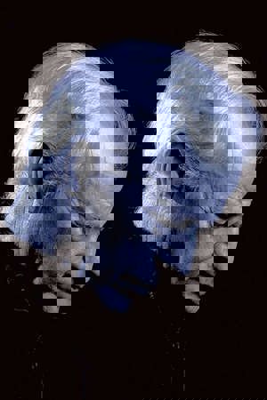 Alessandro Alessandroni