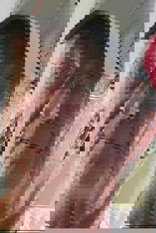 Graham 'Grace' Walker